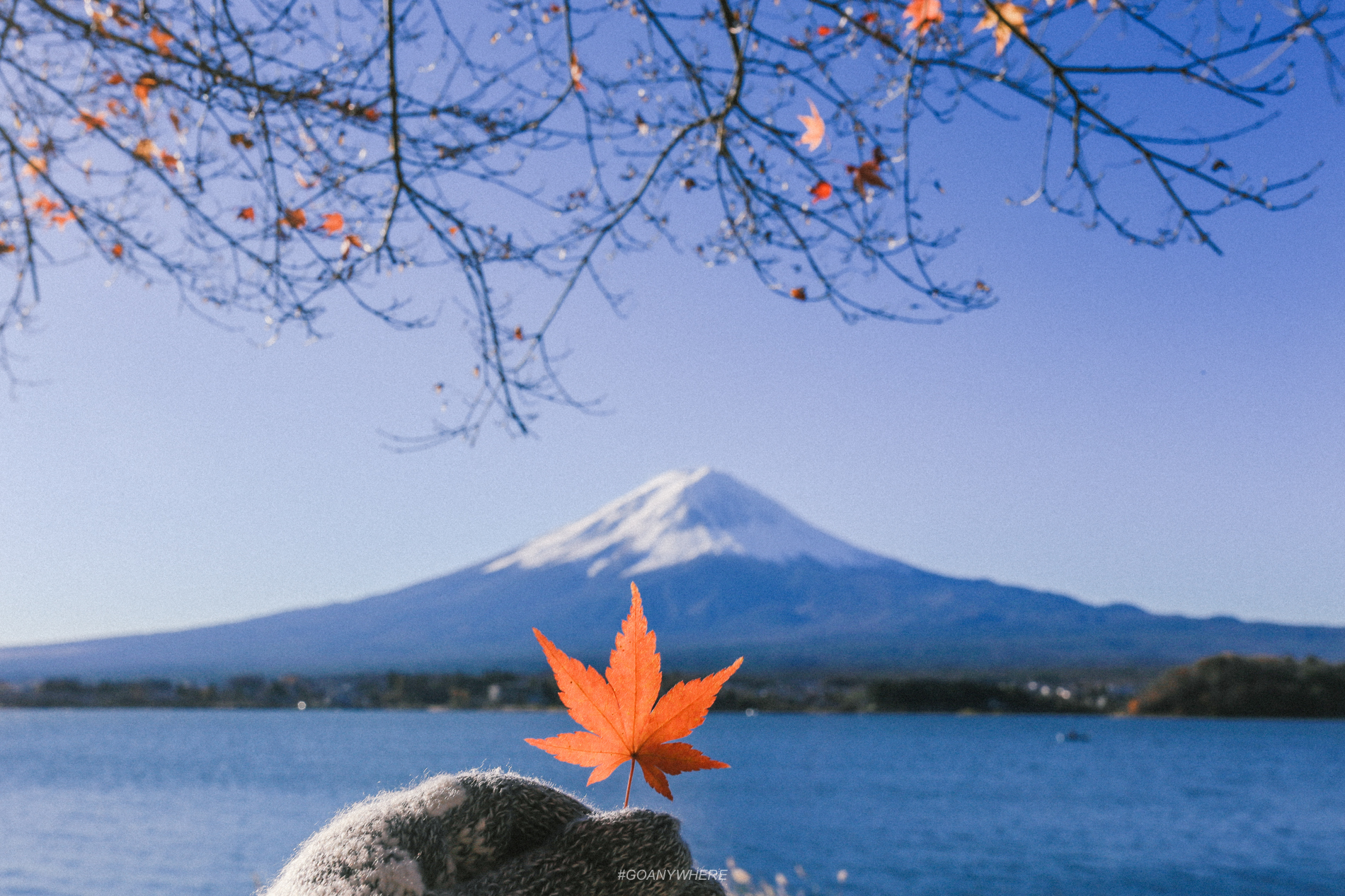 japan_autumnIMG_5730