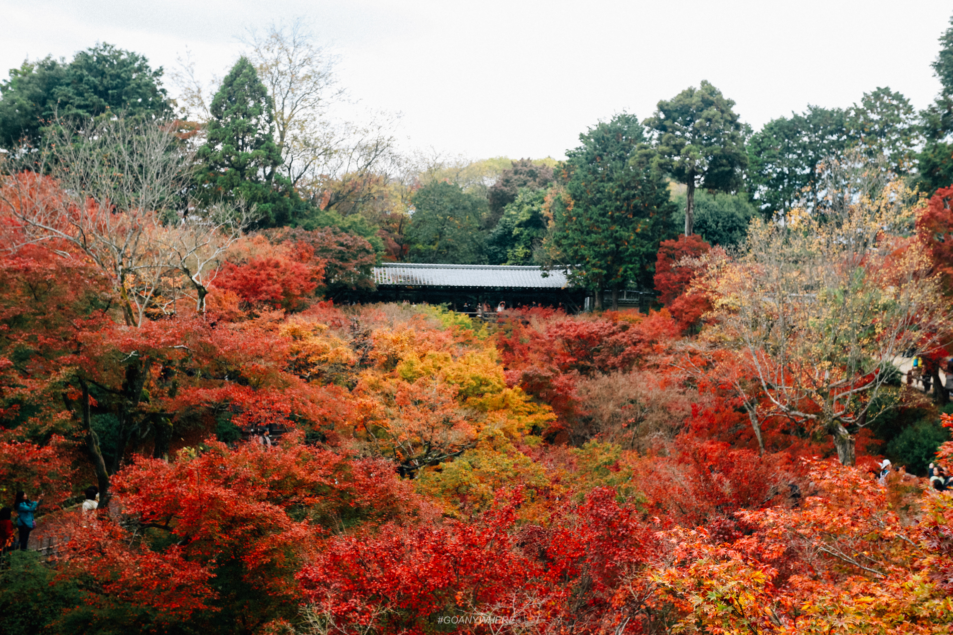 japan_autumnIMG_3960